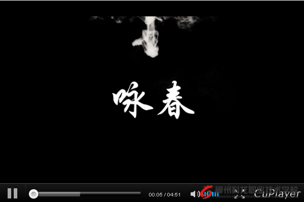 郴州科龙职业技术学校中华武术《咏春 》